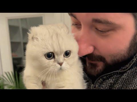 Dog person melts when he gets his first cat #Video