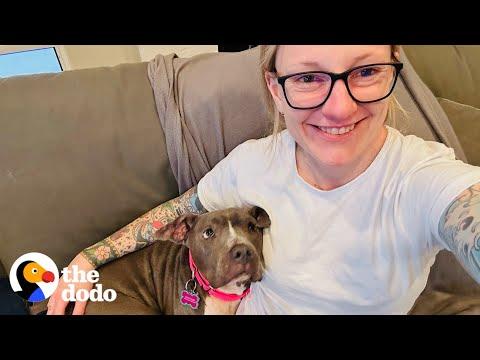 Skinny Pittie Is The Happiest Little Hippo Now #Video
