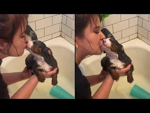 Puppy Gives Mom The Sweetest After-Bath Kisses #Video