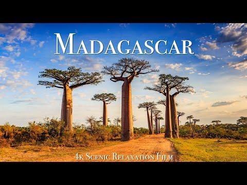 Madagascar 4K - Scenic Relaxation Film With Calming Music #Video