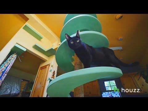 We Revisit Man's Cat Playland and our Hearts Explode Again