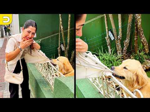 They Wouldn't Let Go | YOUR Daily Dose of Pets #Video