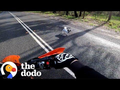 Biker Finds Random Dog In The Road And Calls His Parents #Video