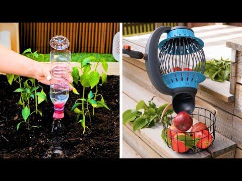 Gardening Tips & Backyard Hacks You Must Try! #Video