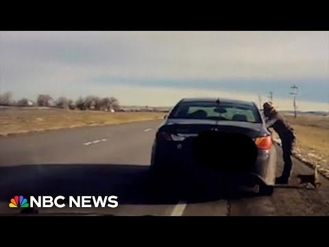 State Trooper makes purr-fect traffic stop in South Dakota #Video