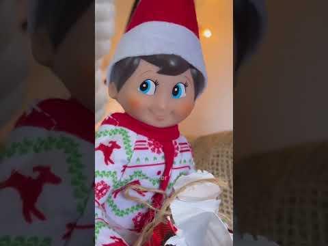 Elf on the Shelf Part 2! - Layla The Boxer #Video