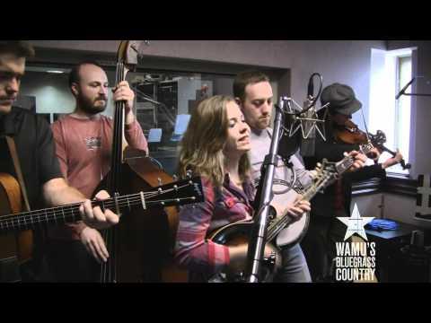 Sierra Hull - Don't Pick Me Up [Live At WAMU's Bluegrass Country]