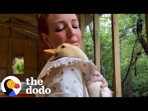 Duck Quacks Every Time Mom Tries To Put Her Down #Video