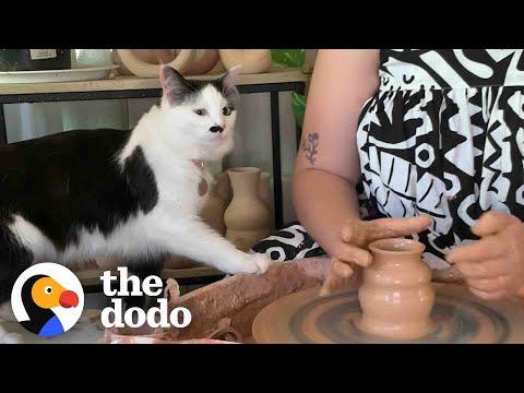 Cat Can't Get Enough Of Mom's Pottery Wheel #Video