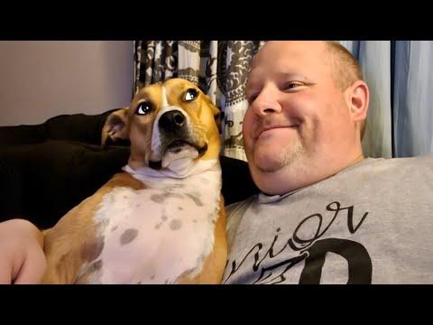 When Your Dog Starts Silently Judging You | Funny Dog and Human Video 2025 #Video
