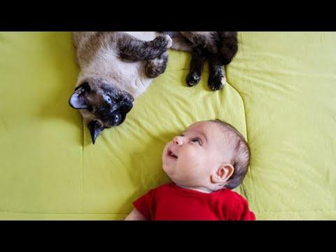 When Kids Are RAISED by the LOVE of a Cat | Cute CAT and HUMAN Videos 2025