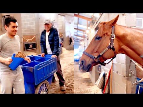 Horse Doesn’t Like Boys and So much more... #Video