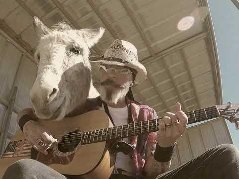 Hazel the Donkey is Beyond Dreamy with this Magical Song #Video