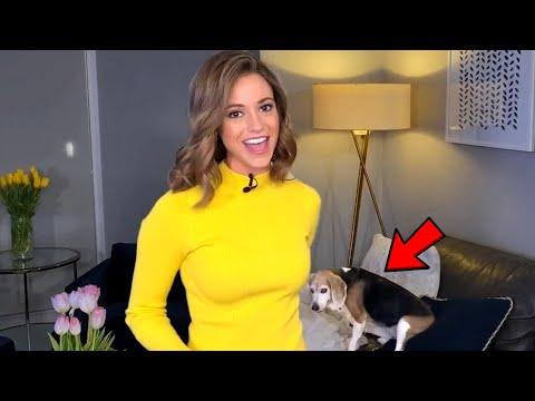 Best News Bloopers Of Work From Home Fails