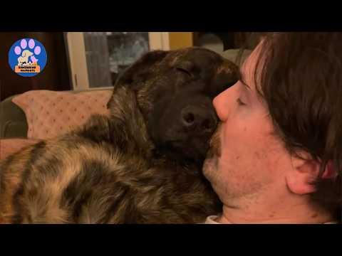 No One Wanted This Puppy…Until She Met One Man She Refused to Leave #Video