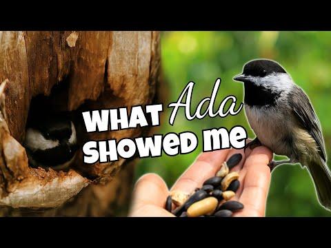 A Roofless Nest Story That Gave Me Something I Didn’t Expect #Video