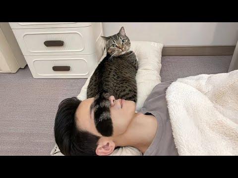 Cats Makes their Own Rules #Video