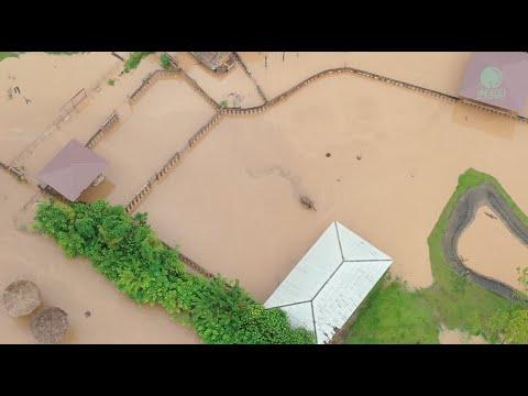 The Largest Flood In Many Years At Elephant Nature Park - ElephantNews #Video