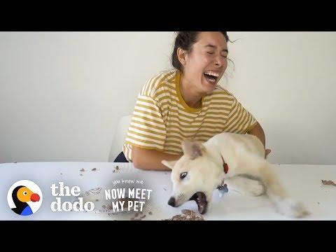 How To Be a Crazy Dog Mom With Kristen McAtee | The Dodo You Know Me Now Meet My Pet
