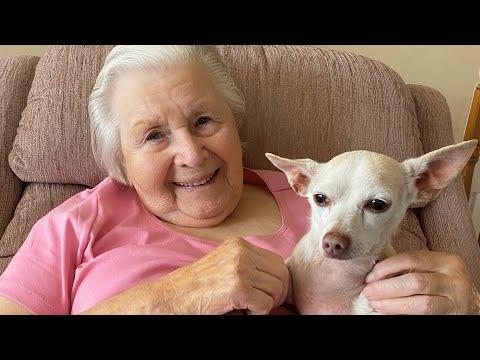 100-year-old woman adopts a senior dog. Now they are inseparable. #Video