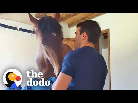 Horse Walks Into Her Dad's House For Pets #Video
