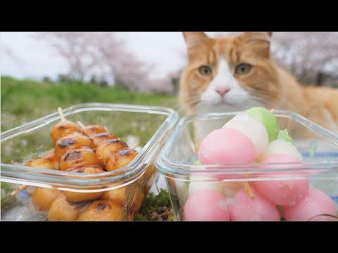 Homemade Japanese Dumplings (Dango) #Video
