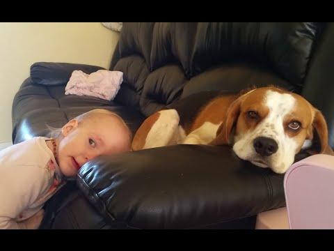 Cute Dog And A Baby Make Up Their Own Game