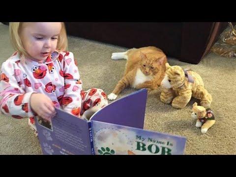 A Bond Like No Other Between Cats and Their Little Friend! #Video