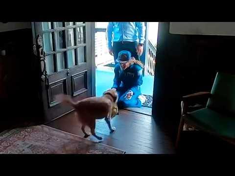 Mom Is Back From Space | YOUR Daily Dose of Pets #Video