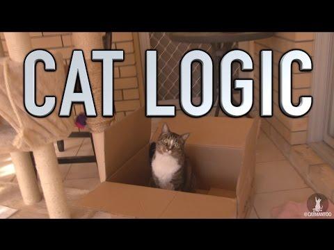 CAT LOGIC
