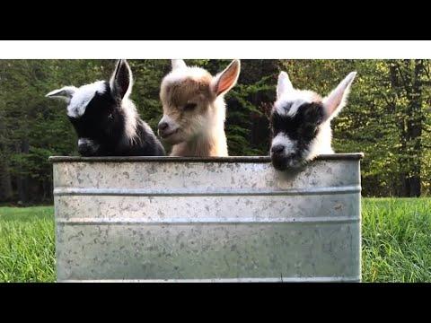 Magical first moments! #Video