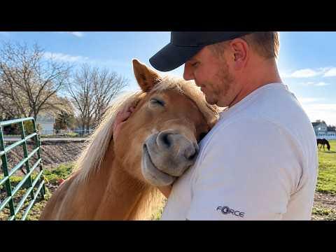 When Every Farm Animal Is Obsessed With Dad #Video