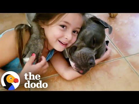 Watch This Little Girl Grow Up With Her Pittie #Video