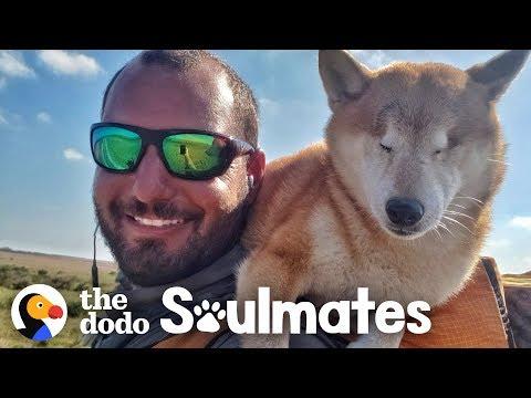 Guy Carries His Blind Dog 800 Miles To Help Get Her Confidence Back | The Dodo Soulmates