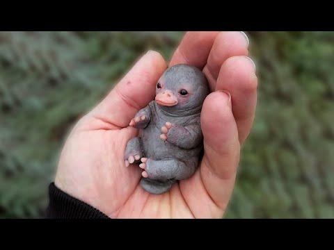 10 Cutest Exotic Animals You Cannot Own As Pets Video