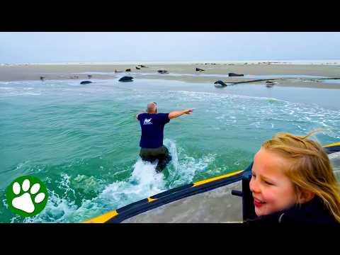 This Skipper Just Taught Kids a Lesson They'll Never Forget #Video