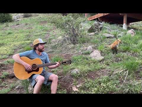 Andy Thorn sings Fox on The Run to a wild fox #Video