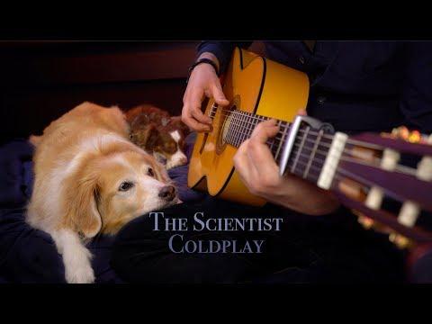 The Scientist - Coldplay (Fingerstyle Guitar)