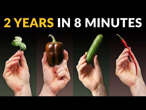 I Filmed Plants Growing From Seed For 632 Days #Video