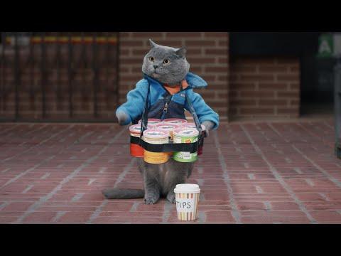 Christmas Cat Street Performance #Video