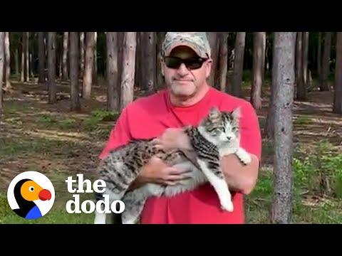 Cat Becomes Totally Obsessed With His Dog Person Dad #Video