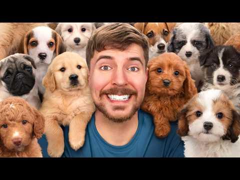 I Rescued 100 Abandoned Dogs! #Video