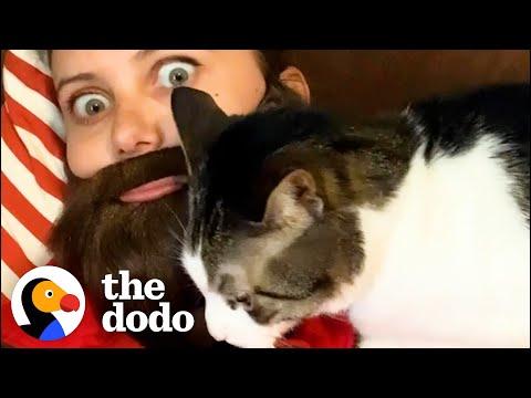Cat Prefers Dad To Mom — So Mom Starts Wearing Fake Beards #Video