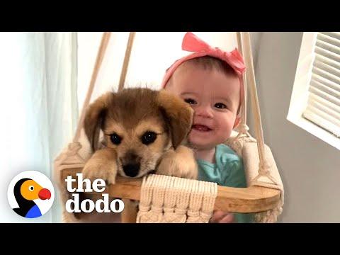 This Puppy And Baby Sister Are Perfectly In Sync With Everything They Do #Video