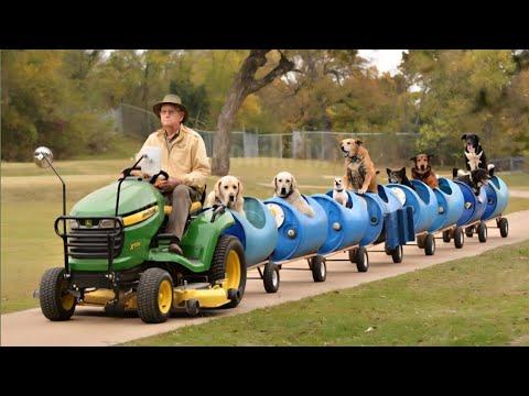 When Dogs Experience Their First Train Journey #Video