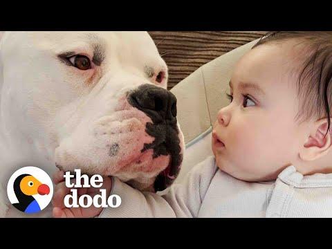 People Told Mom Not To Let Pittie Near Her Baby #Video