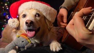 All I Want For Christmas Is You!