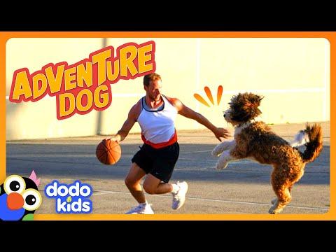 Sporty Pup Loves Basketball, Skiing, AND Can Drive?! | Dodo Kids #Video