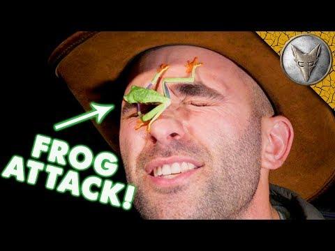 SURPRISE FROG ATTACK!