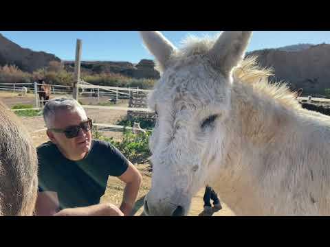Ronnie, the Donkey’s, interrogation technique! #Video